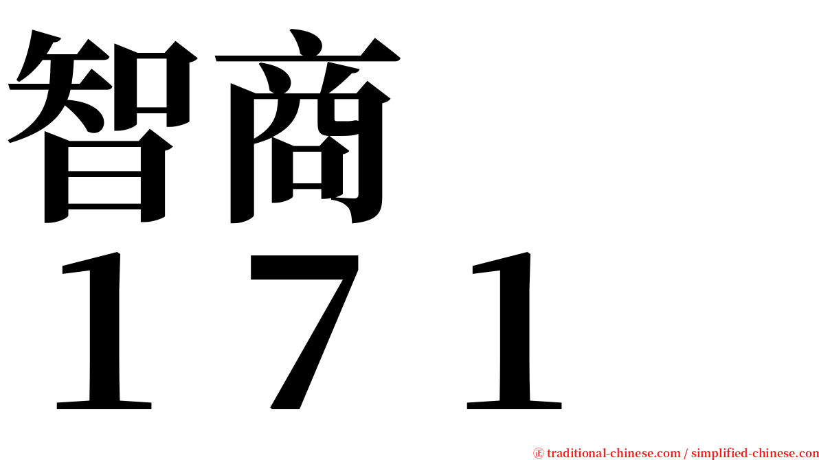 智商　　１７１ serif font